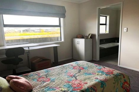 Photo of property in 41 Lulu Avenue, Chartwell, Hamilton, 3210