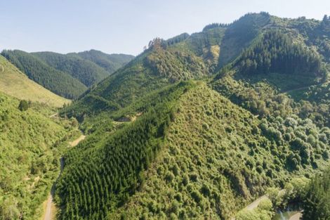 Photo of property in 641 Aniseed Valley Road, Aniseed Valley, Richmond, 7081