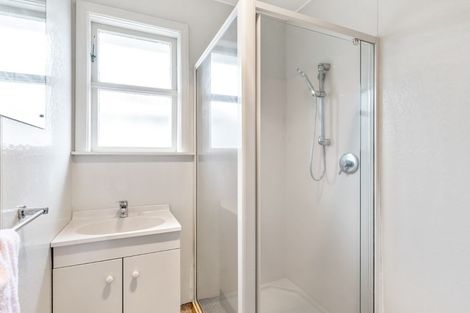 Photo of property in 55 Power Street, Levin, 5510