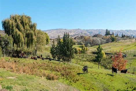 Photo of property in 196 Chapman Road, Earnscleugh, Alexandra, 9391