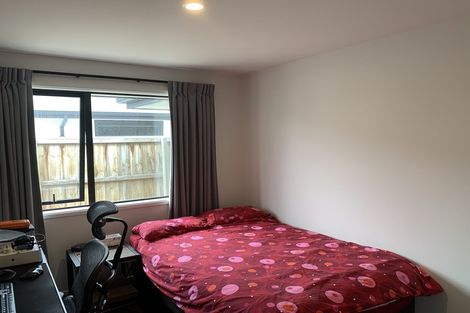 Photo of property in 24 Bonecrusher Street, Lincoln, 7608