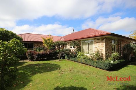 Photo of property in 53 Mcmurdo Street, Tinwald, Ashburton, 7700