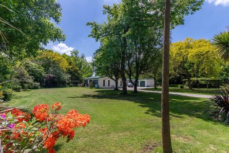 Photo of property in 217 East Road, Reporoa, 3081