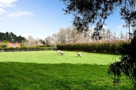 Photo of property in 40 Woodcock Road, Tamahere, Hamilton, 3283