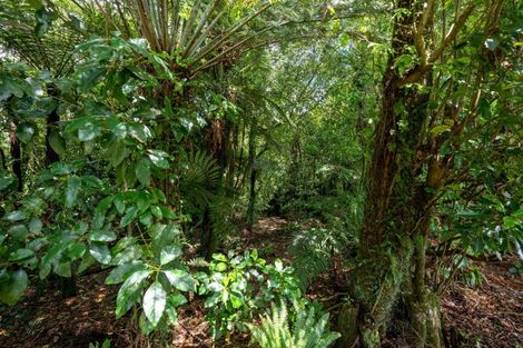Photo of property in 118 South Road, Mamaku, Rotorua, 3072