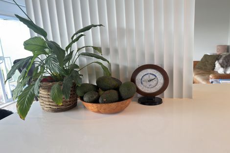 Photo of property in 31 Studholme Street, Temuka, 7920