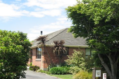 Photo of property in 12 Cargill Place, Richmond, Christchurch, 8013
