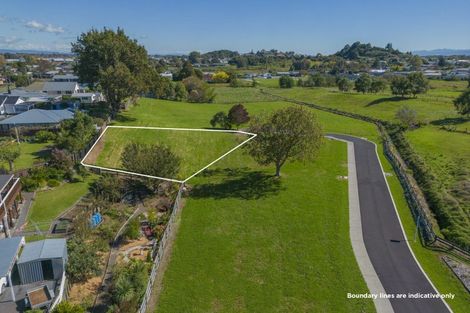 Photo of property in 5 Double Oaks Drive, Paeroa, 3600