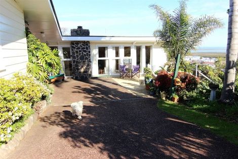 Photo of property in 111 Pleasant Wood Place, Thames, 3500