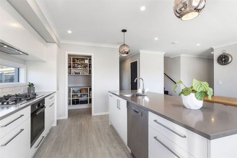 Photo of property in 158 Endeavour Drive, Whitby, Porirua, 5024