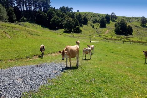 Photo of property in 538 Matakana Valley Road, Matakana, Warkworth, 0985