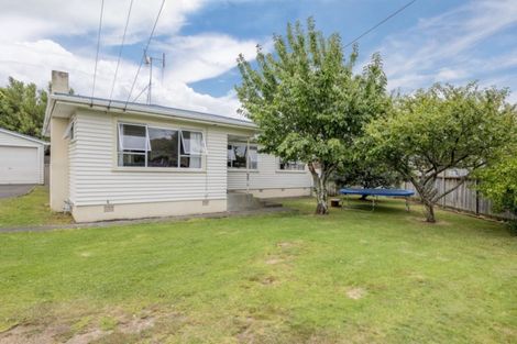 Photo of property in 14 Margaret Street, Levin, 5510