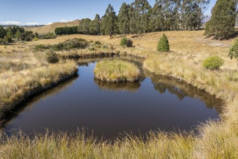 Photo of property in 900 Hillside-manapouri Road, Manapouri, 9679