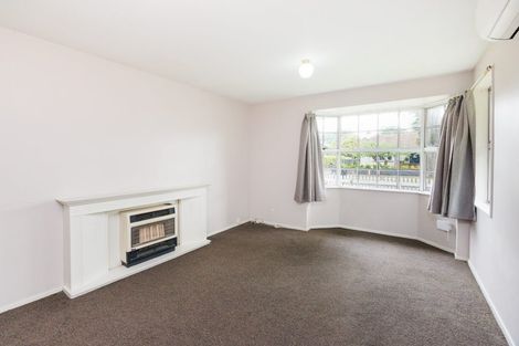 Photo of property in 478b College Street, Hokowhitu, Palmerston North, 4410