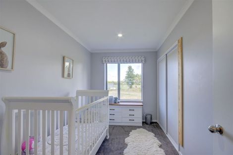 Photo of property in 779 Poyntzs Road, Eyrewell, Rangiora, 7476
