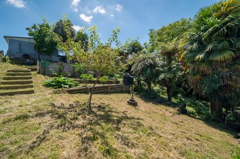 Photo of property in 9 London Terrace, Putaruru, 3411