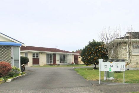 Photo of property in 20 Oxford Street, Taradale, Napier, 4112