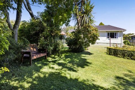 Photo of property in 114 Brecon Road, Stratford, 4332