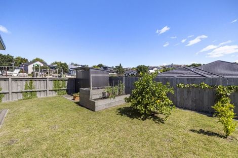 Photo of property in 3 Saint Michaels Avenue, Bethlehem, Tauranga, 3110