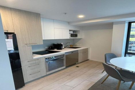 Photo of property in Vsp South, 301/166 Victoria Street, Te Aro, Wellington, 6011