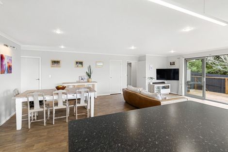 Photo of property in 113 Edinburgh Street, Pukekohe, 2120