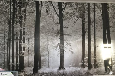 Photo of property in 23 Normanby Street, Newtown, Wellington, 6021