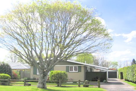 Photo of property in 59a Elizabeth Street, Victoria, Rotorua, 3010