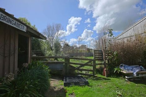 Photo of property in 117 Union Street, Foxton, 4814