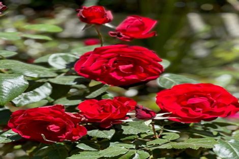 Photo of property in 487 Kanohi Road, Kaukapakapa, 0873