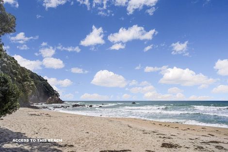 Photo of property in 339 Onemana Drive, Onemana, Whangamata, 3691