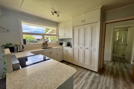 Photo of property in 18 Brook Street, Renwick, 7204