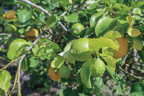 Photo of property in 689 Glen Murray Road, Rangiriri, Huntly, 3772