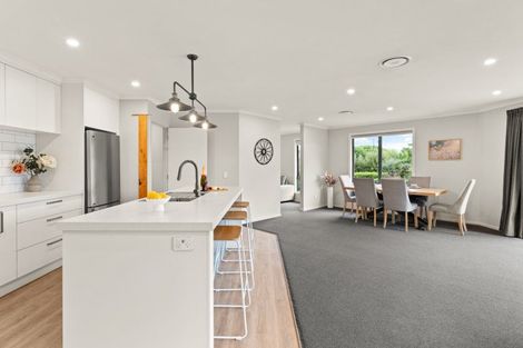 Photo of property in 13 Three Kings Court, Outram, 9019