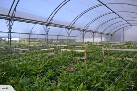 Photo of property in 1066 Egmont Road, Egmont Village, New Plymouth, 4372