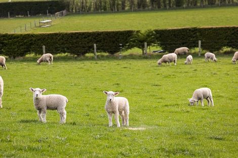 Photo of property in 309 Gladstone Road North, Mosgiel, 9092