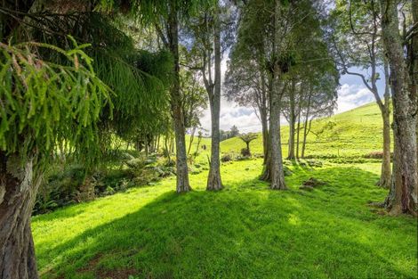 Photo of property in 554 Maungatawhiri Road, Raglan, 3295