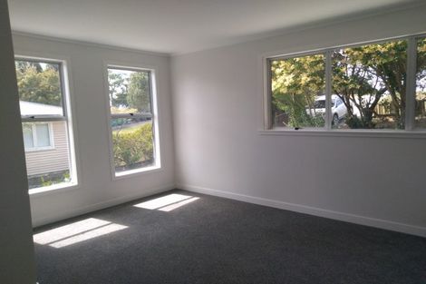 Photo of property in 88 Port Albert Road, Wellsford, 0900