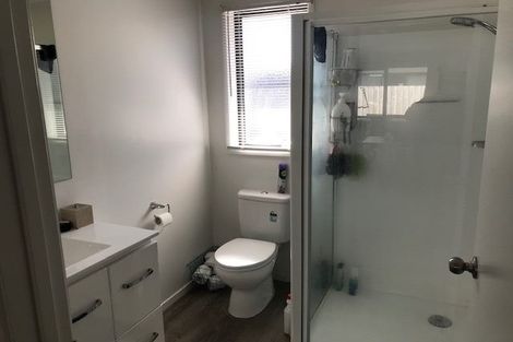 Photo of property in 1/193 Massey Street, Frankton, Hamilton, 3204