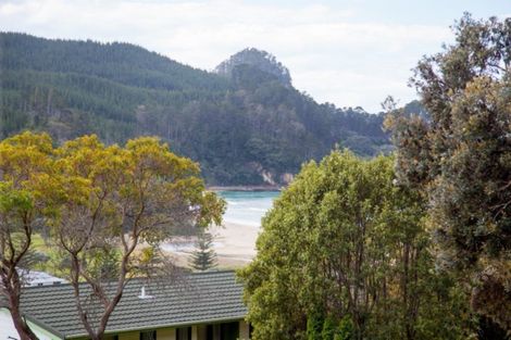 Photo of property in 338 Onemana Drive, Onemana, Whangamata, 3691