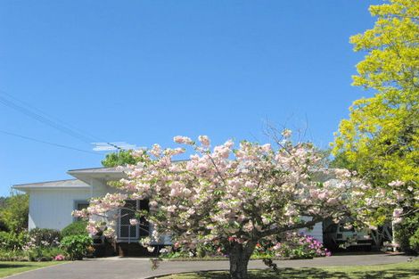 Photo of property in 21 Marian Drive, Inner Kaiti, Gisborne, 4010