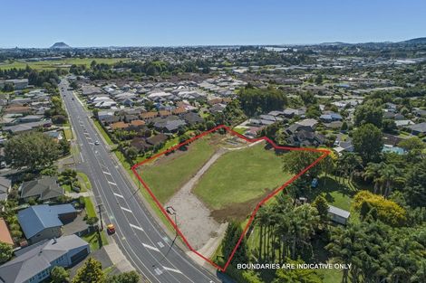 Photo of property in 49 Pyes Pa Road, Pyes Pa, Tauranga, 3112