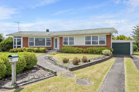 Photo of property in 12 Wavell Place, Putaruru, 3411