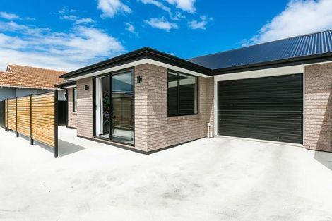 Photo of property in 17a Culling Street, Saint Kilda, Dunedin, 9012