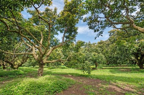 Photo of property in 39 Hot Springs Road, Tahawai, Katikati, 3178