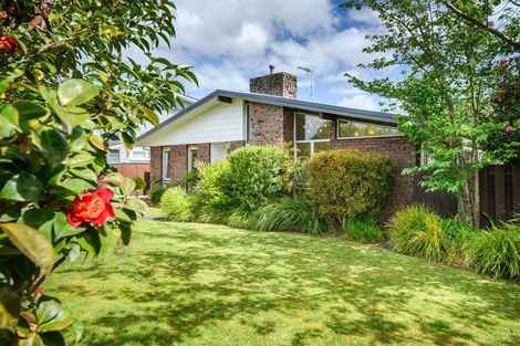 Photo of property in 115 Winchester Street, Ashhurst, 4810