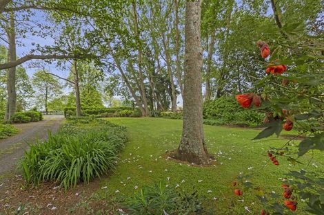 Photo of property in 253 Kaipaki Road, Ohaupo, 3881