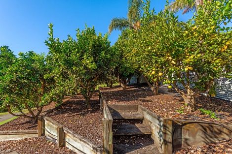 Photo of property in 39 Ayton Street, Mangapapa, Gisborne, 4010