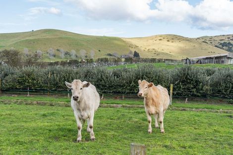 Photo of property in 95 Ohinepanea Road, Pukehina, Te Puke, 3186