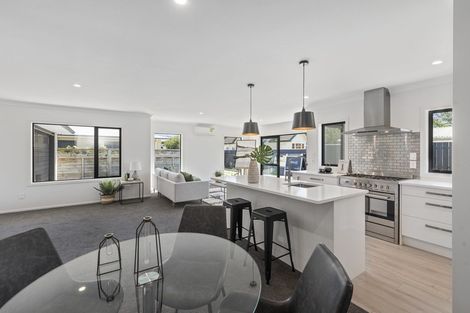 Photo of property in 144b Winchester Street, Levin, 5510