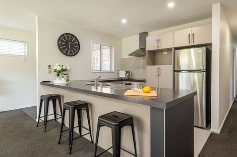 Photo of property in 211a Springfield Road, St Albans, Christchurch, 8014